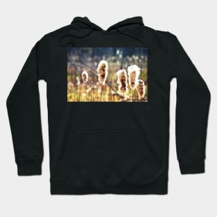 "Puffy Cattails" Hoodie